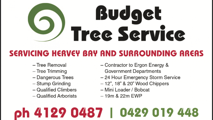 Budget Tree Service QLD |  | 264 Beelbi Creek Rd, Beelbi Creek QLD 4659, Australia | 0429019448 OR +61 429 019 448