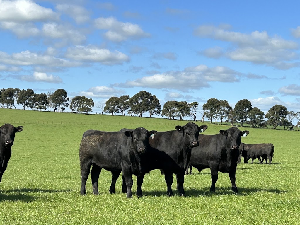 Chiltern Park Angus | 565 MacArthur-Penshurst Rd, Macarthur VIC 3286, Australia | Phone: 0459 149 280