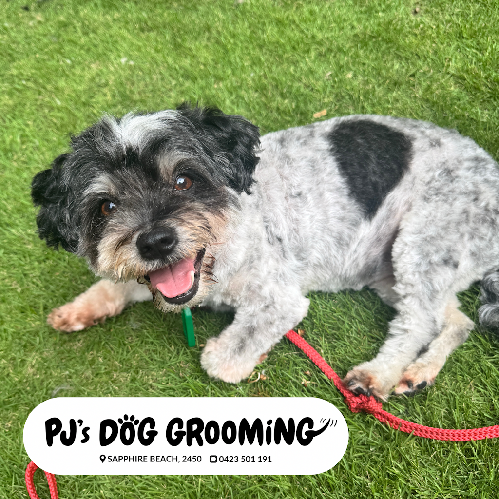 PJ’s Dog Grooming (Sapphire Beach, Coffs Harbour) | Lakeside Dr, Sapphire Beach NSW 2450, Australia | Phone: 0423 501 191