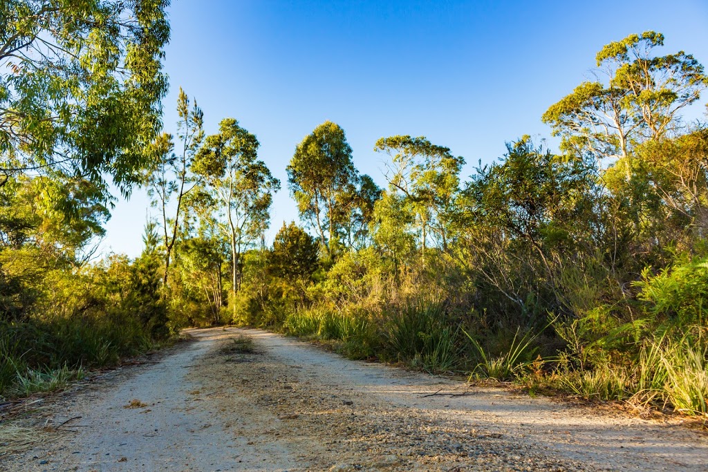 Winifred Curtis Reserve | park | 23282 Tasman Hwy, Scamander TAS 7215, Australia