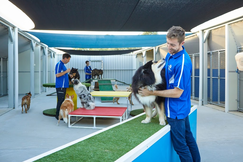Baldivis Boarding Kennels and Cattery | veterinary care | 16 Young Rd, Baldivis WA 6171, Australia | 0895241056 OR +61 8 9524 1056