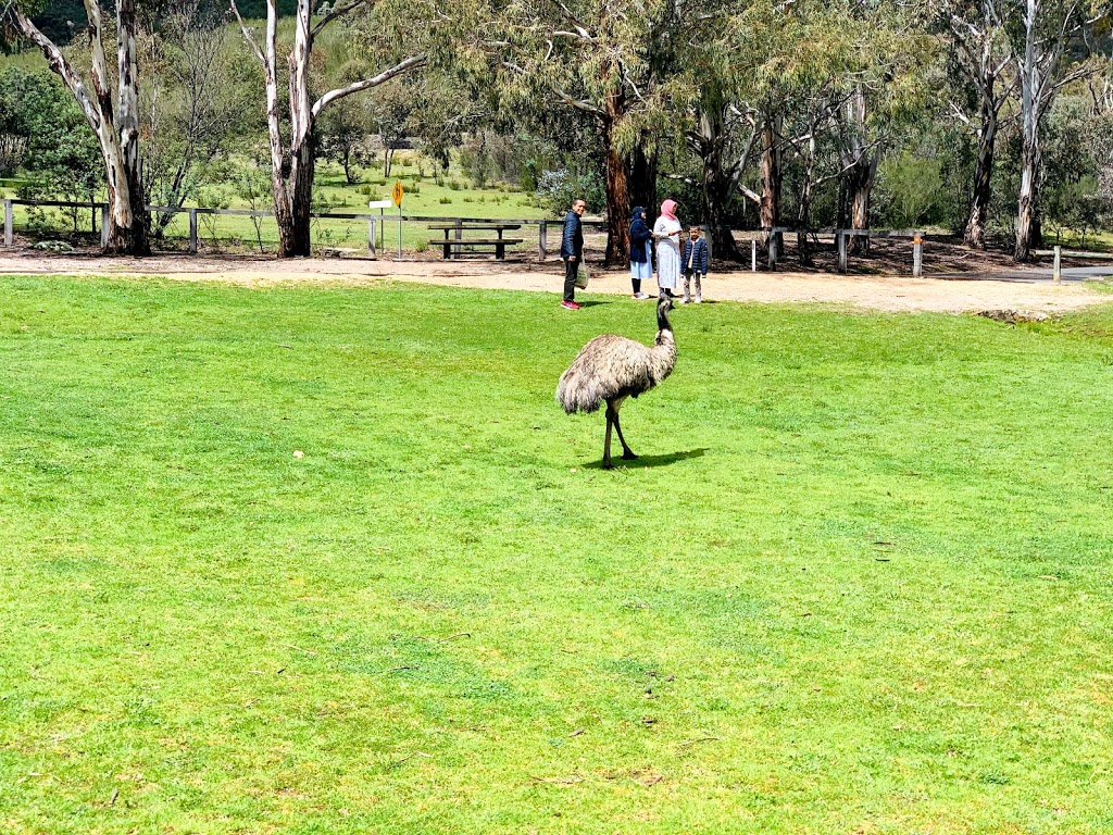 Nature discovery playground |  | Tidbinbilla Reserve Rd, Paddys River ACT 2620, Australia | 0262051233 OR +61 2 6205 1233