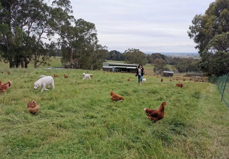 Auyea Park | food | 230 Fogarty Rd, Tynong North VIC 3813, Australia | 0430351899 OR +61 430 351 899