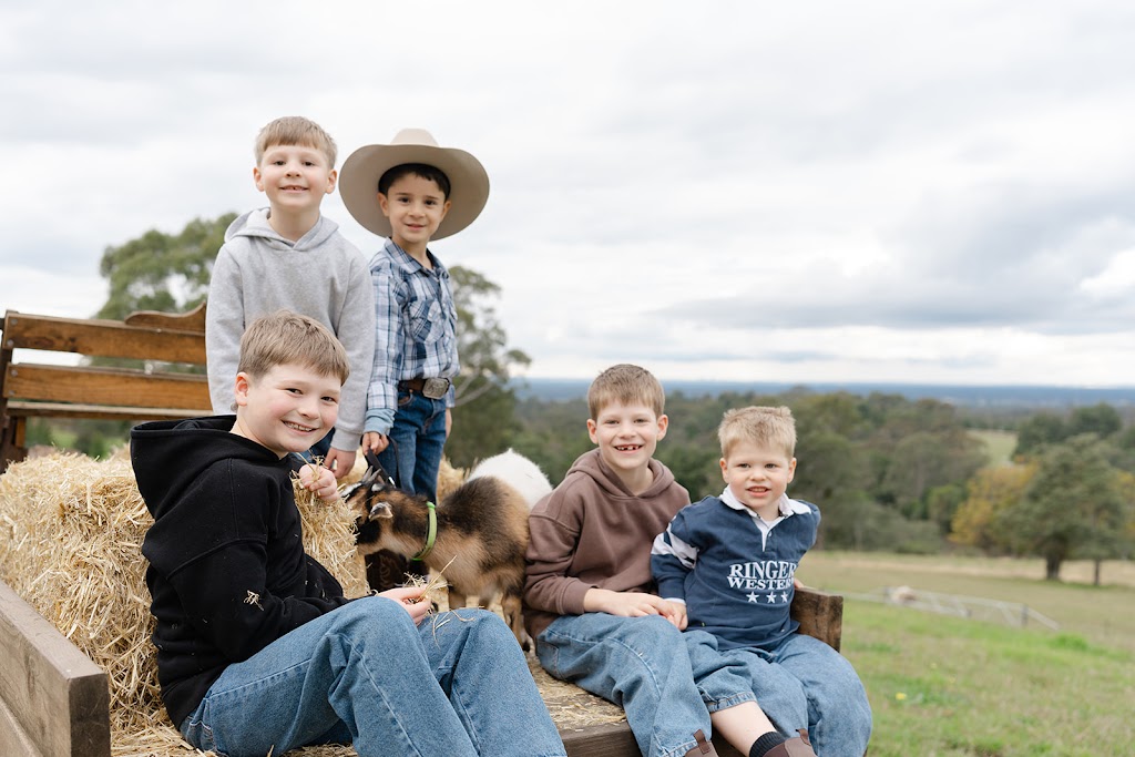 Crestview Minis - Highland Galloway Minature Cow Experience | Bells Rd, Grose Vale NSW 2753, Australia | Phone: 0414 700 540
