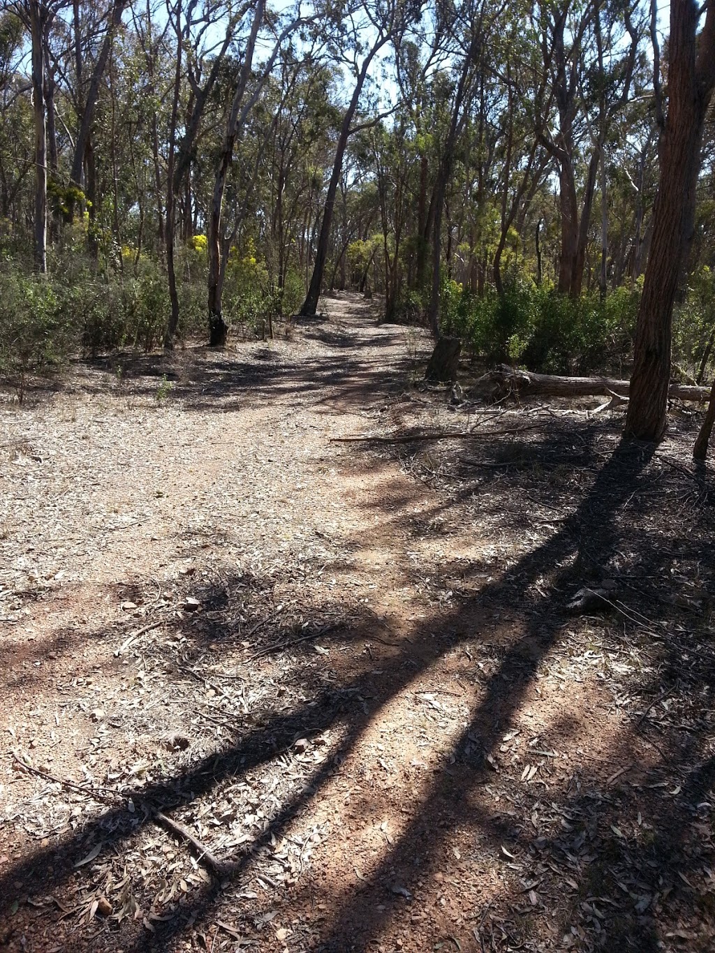 Imbota Nature Reserve | park | Armidale NSW 2350, Australia