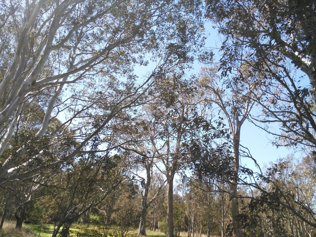 Bellbird Corner Riverside Reserve | park | Sandy Creek Rd, Maffra VIC 3860, Australia