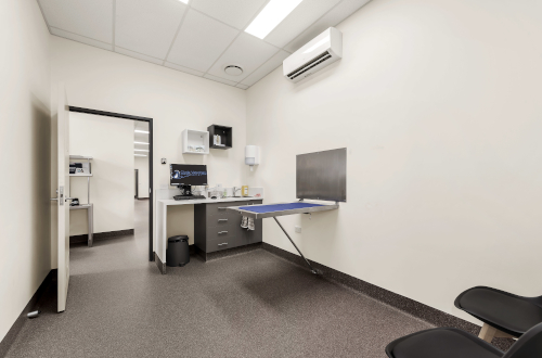 Clyde Veterinary Hospital | 1 Selandra Blvd, Clyde North VIC 3978, Australia | Phone: (03) 9052 3200