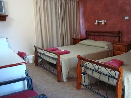 Bushmans Retreat Motel Gundagai | lodging | 116 Mount St, South Gundagai NSW 2722, Australia | 0269441433 OR +61 2 6944 1433