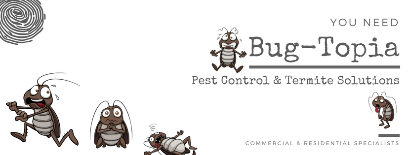 Bug-Topia Pest Control and Termite Solutions | home goods store | 2 Yabbra La, Upper Coomera QLD 4209, Australia | 0490065036 OR +61 490 065 036