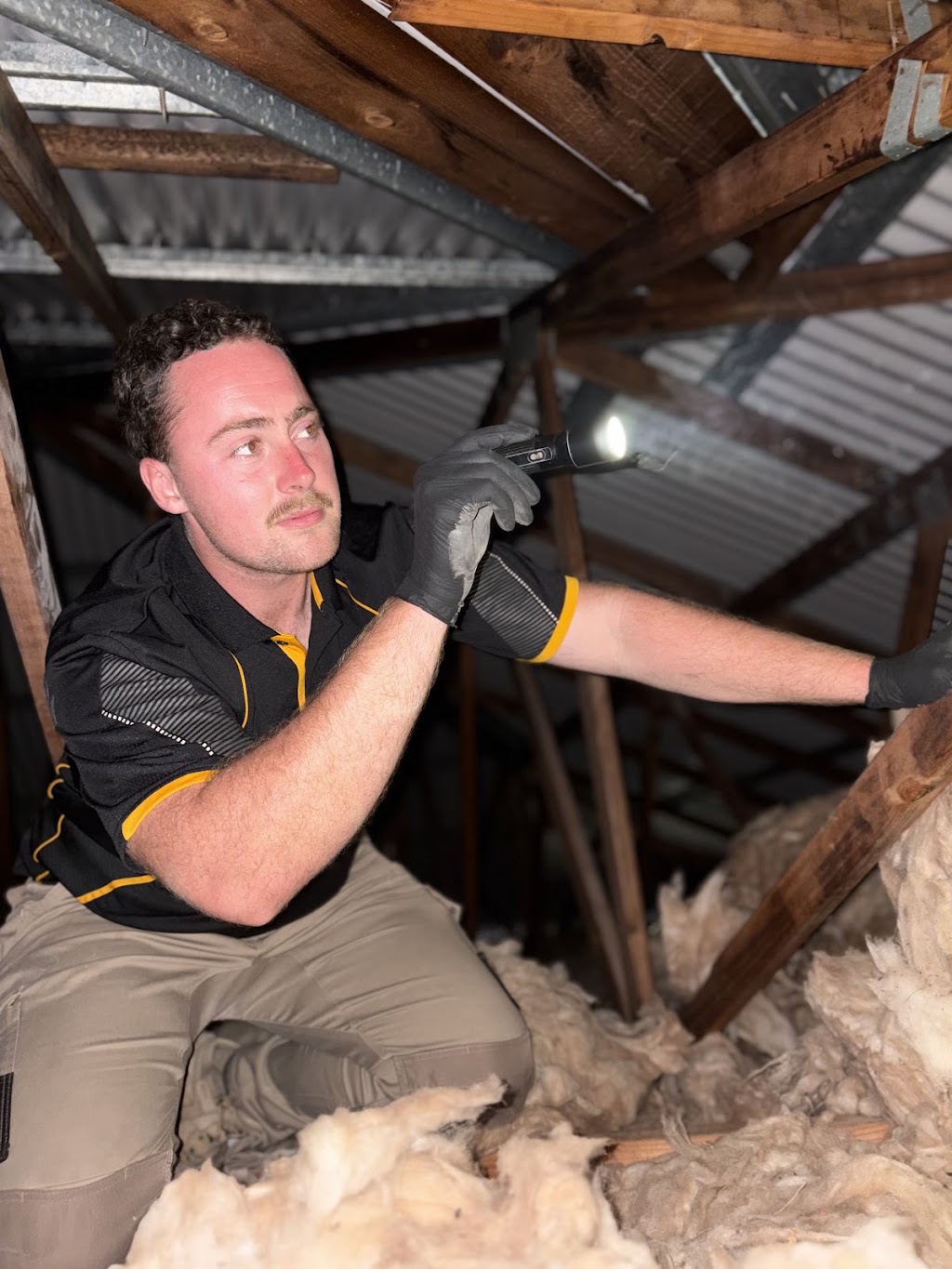 Rampart Pest Management | 65 Rifle Range Rd, Narangba QLD 4504, Australia | Phone: 0428 563 886