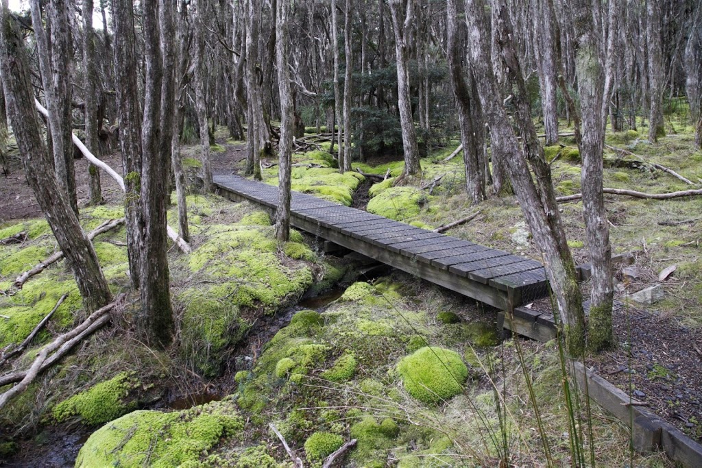 Ralph Falls Car Park | Cashs Gorge Cct, Ringarooma TAS 7263, Australia