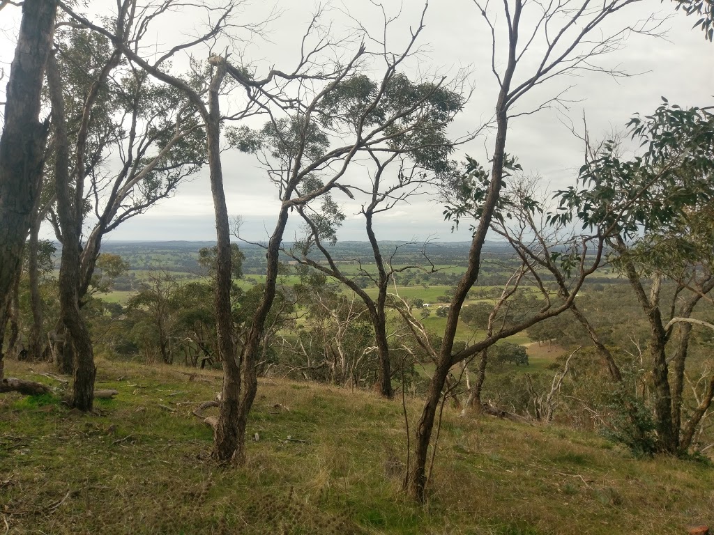 Darkys Hut | park | Maldon VIC 3463, Australia