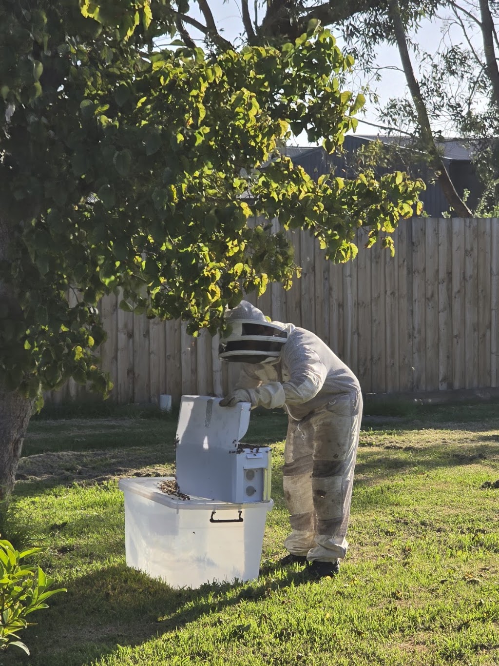 Wattletree Beekeeping | 4 Railway Ave, Bunyip VIC 3815, Australia | Phone: 0413 232 697