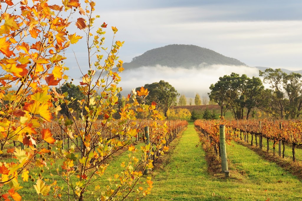 First Ridge Wines | 577 Burrundulla Rd, Mudgee NSW 2850, Australia | Phone: 0418 161 132