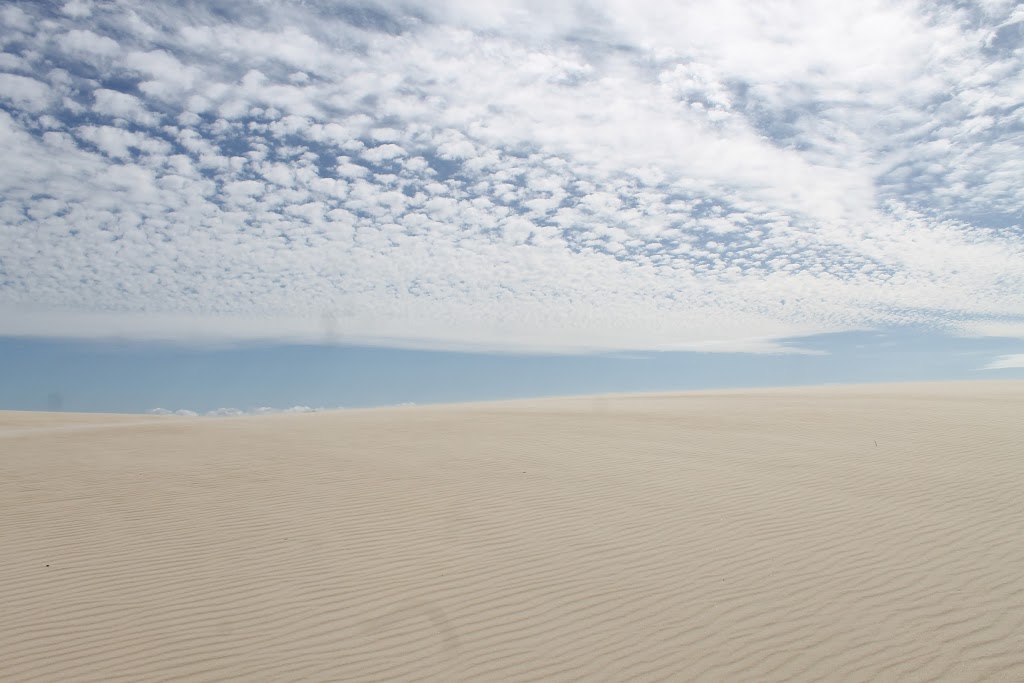 Henty Dunes | park | Strahan TAS 7468, Australia