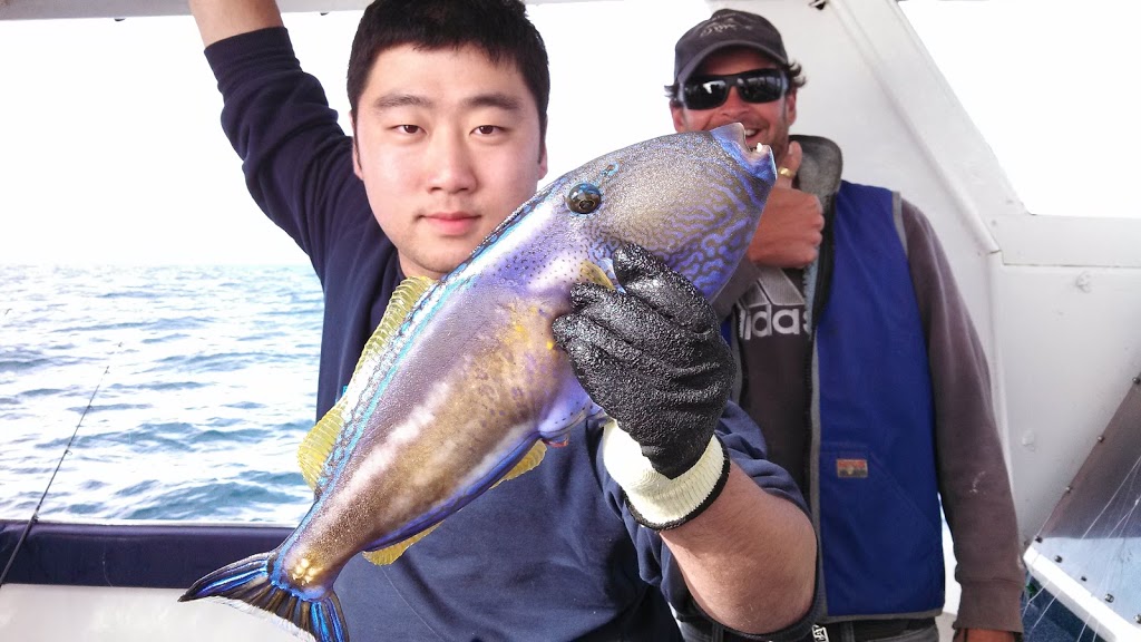 Queenscliff Fishing Charters and Scenic Tours Port Phillip Bay. | Queenscliff Harbour, Larkin Parade, Queenscliff VIC 3225, Australia | Phone: 0458 504 058