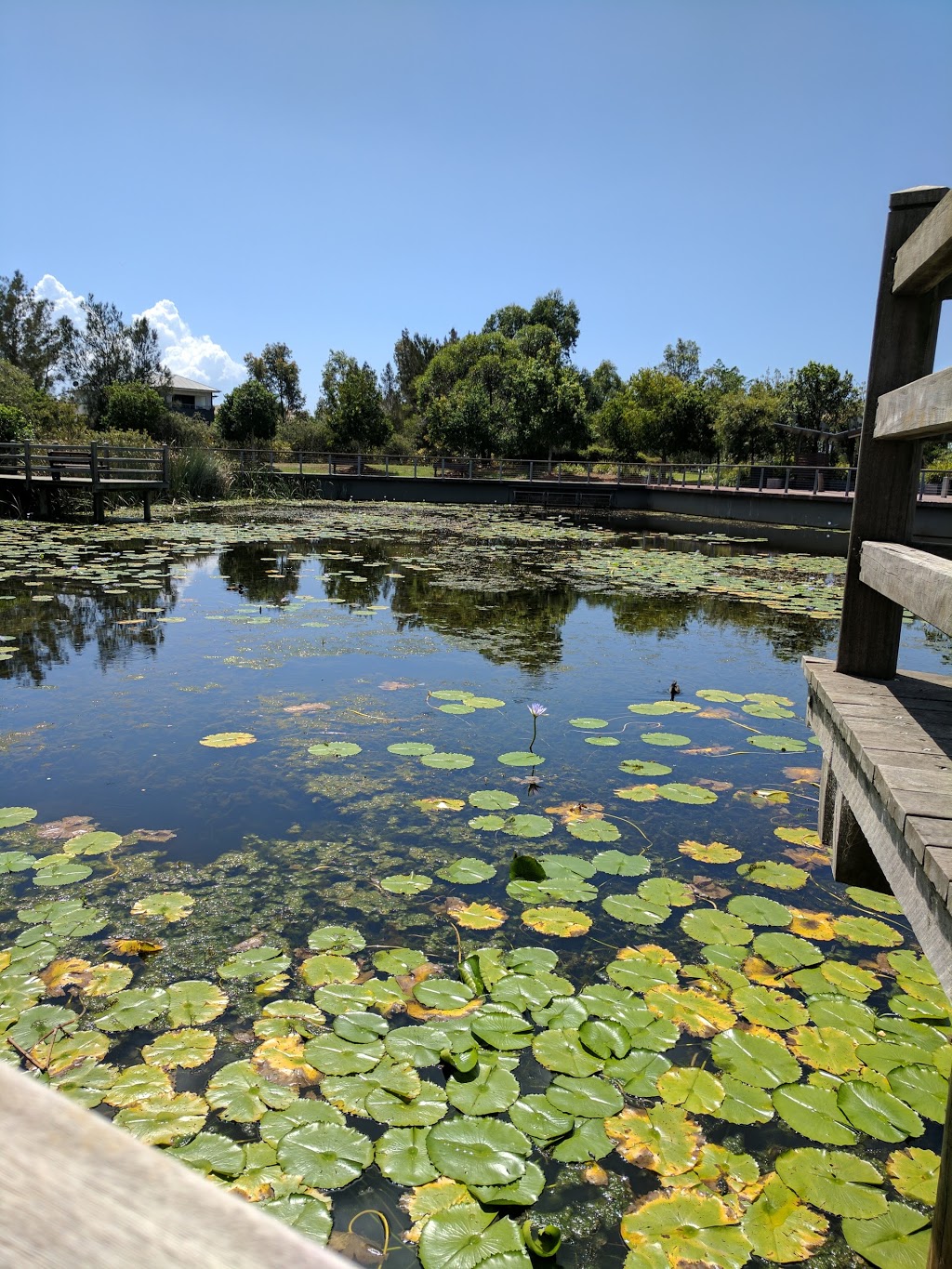 Friendship Park | North Lakes QLD 4509, Australia