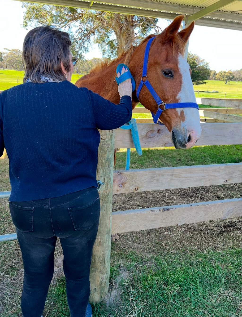 Surf Coast Mindfulness with Horses | 396 Thielemanns Rd, Gherang VIC 3240, Australia | Phone: 0407 559 272