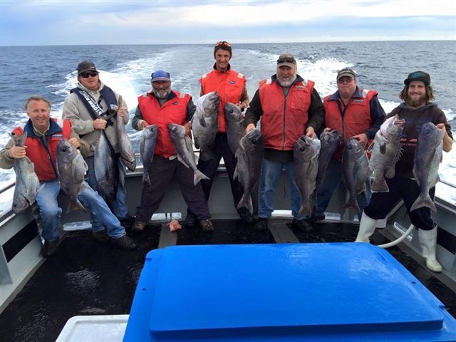 Port MacDonnell Fishing Charters | 898 Eight Mile Creek Rd, Eight Mile Creek SA 5291, Australia | Phone: 0428 382 483