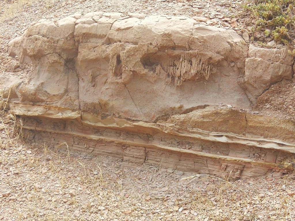 Hallett Cove Geology Trail | museum | Hallett Cove SA 5158, Australia