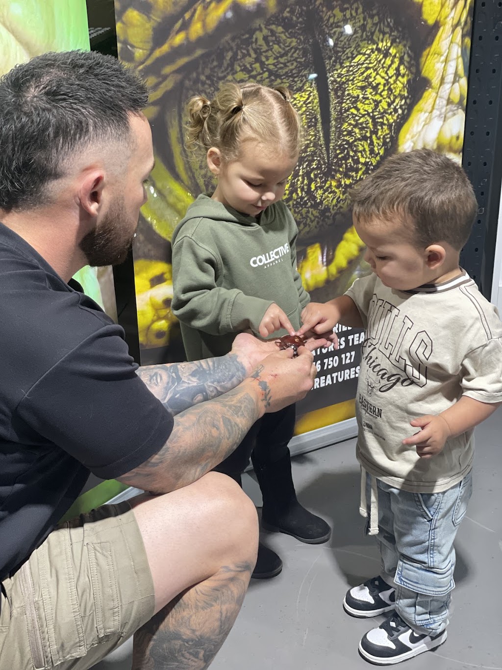 Educreatures | Bacchus Marsh Rd, Bacchus Marsh VIC 3340, Australia | Phone: 0456 750 127