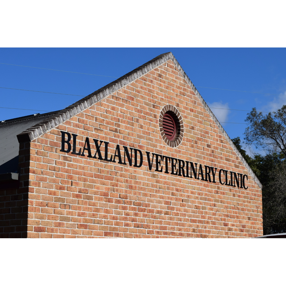 Blaxland Veterinary Clinic | 7 Station St, Blaxland NSW 2774, Australia | Phone: (02) 4739 5028