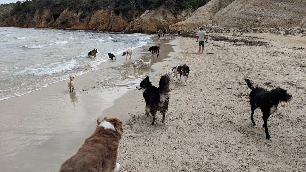 Dog Friendly Beach - Tassells Cove | Marine Dr, Safety Beach VIC 3936, Australia
