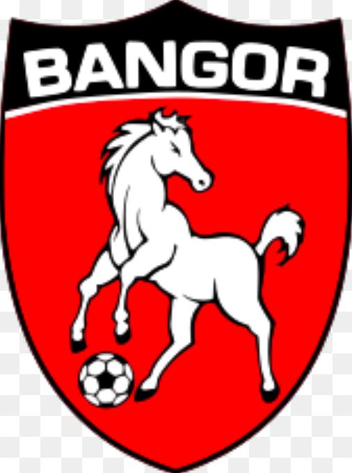 Bangor Football Club |  | 50 Billa Rd, Bangor NSW 2234, Australia | 0490172648 OR +61 490 172 648