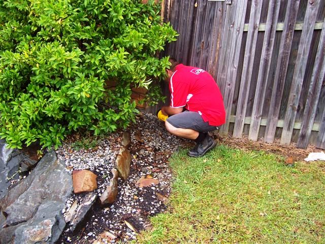 Sherrys Termite & Pest Control | 5/168 Siganto Dr, Helensvale QLD 4210, Australia | Phone: (07) 5512 0710