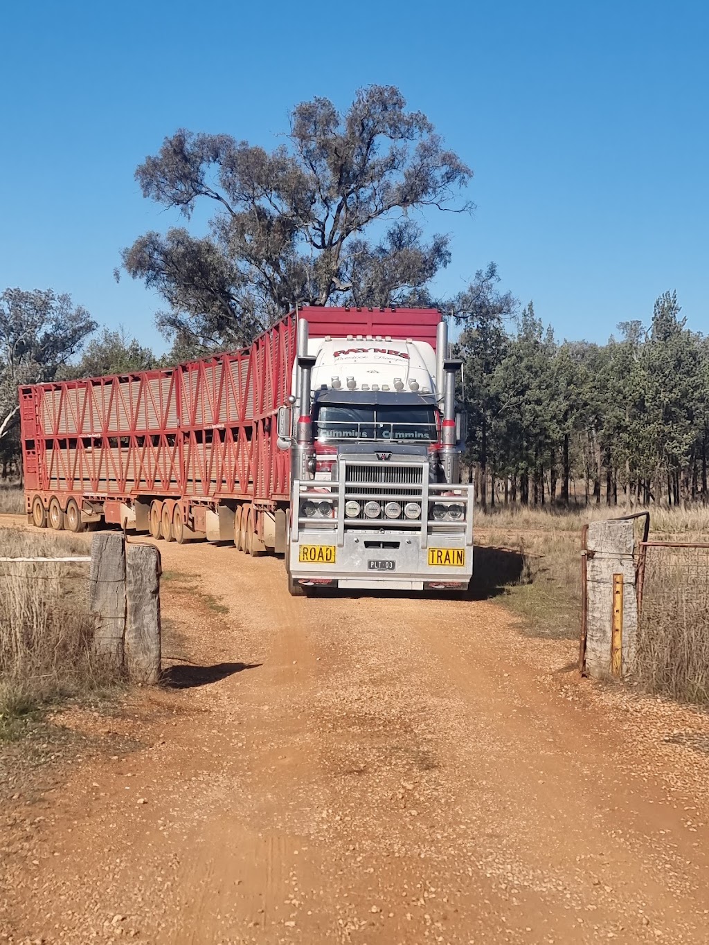 Paynes Livestock Transport | 50 Hall Rd, Pakenham South VIC 3810, Australia | Phone: 0408 344 194