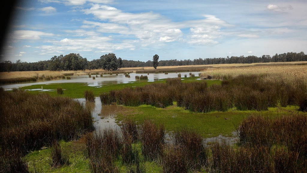 Reed Beds Bird Hide, Murray Valley National Park | Mathoura NSW 2710, Australia