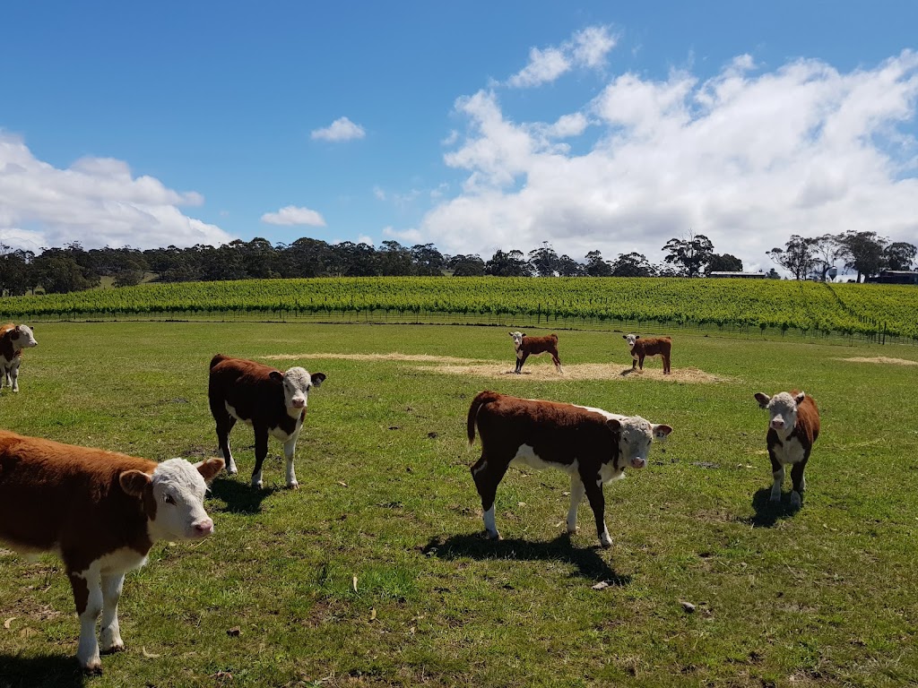 Boomer Creek Vineyard & Cellar Door | 10922 Tasman Hwy, Little Swanport TAS 7190, Australia | Phone: 0423 912 360