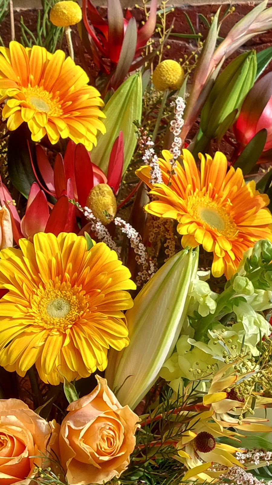 Blooms On Bridge | 170 Racecourse Rd, Benalla VIC 3672, Australia | Phone: (03) 5762 5588