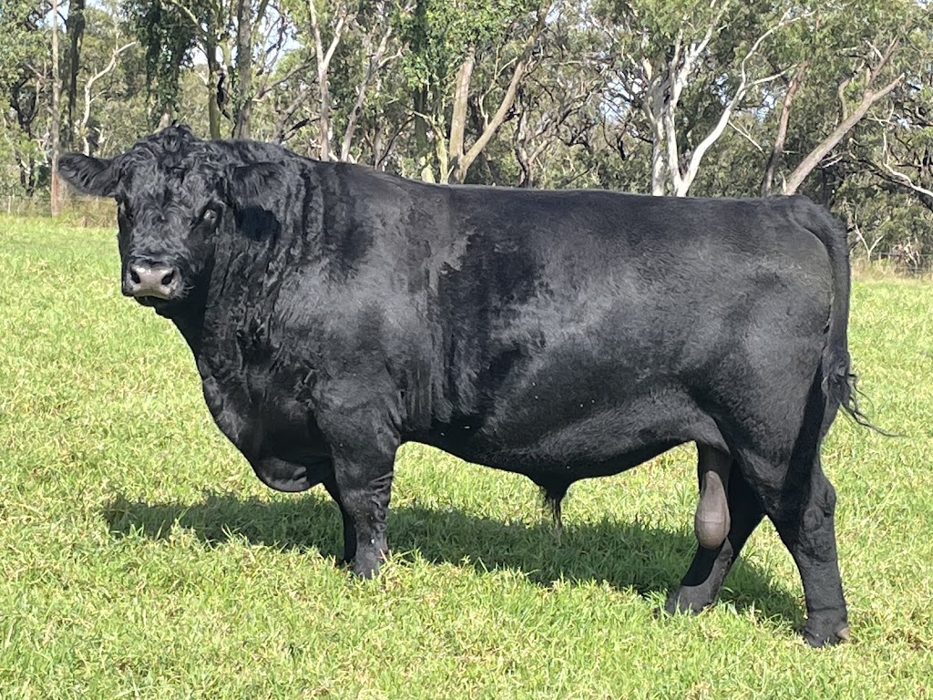 Whipbird Creek Farm | 114 Parukala Rd, Mangrove Mountain NSW 2250, Australia | Phone: 0418 890 667
