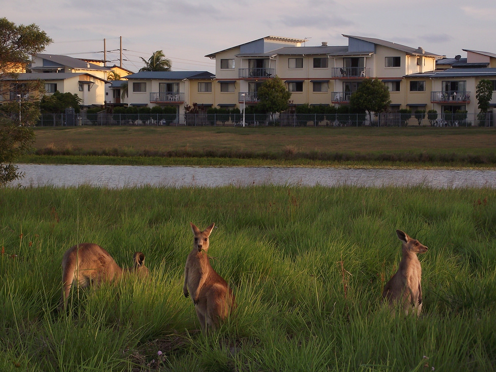 UniCentral Student Accommodation | 7 Varsityview Ct, Sippy Downs QLD 4556, Australia | Phone: (07) 5373 0000