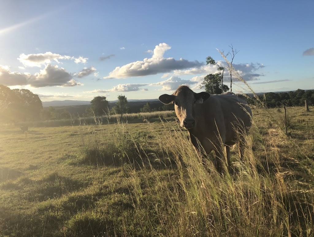 Firebreak Farm | food | 557 Upper Yarraman Maidenwell Rd, Upper Yarraman QLD 4614, Australia | 0404352090 OR +61 404 352 090