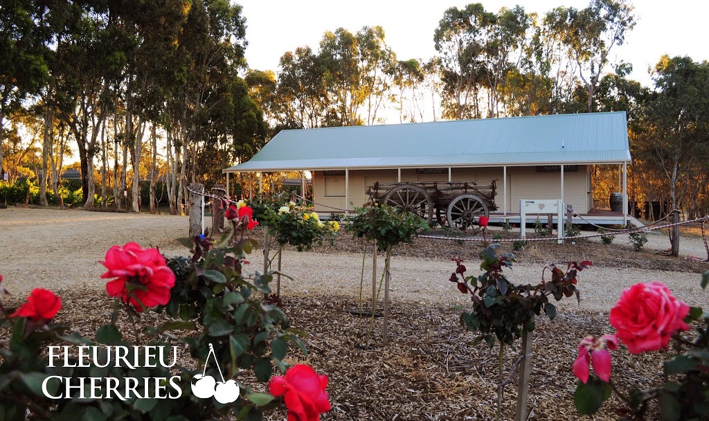 Fleurieu Cherries | store | 159 Pages Flat Rd, Pages Flat SA 5172, Australia | 0885561314 OR +61 8 8556 1314