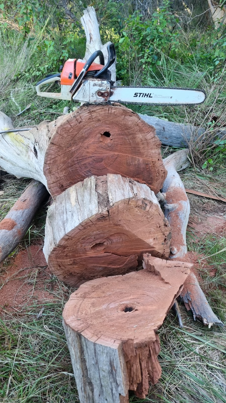 Mr Cutlogs Firewood | 289 Pacific Hwy, Mount White NSW 2250, Australia | Phone: 0411 111 111 Mr Cutlogs Firewood | 289 Pacific Hwy, Mount White NSW 2250, Australia | Phone: 0411 111 111