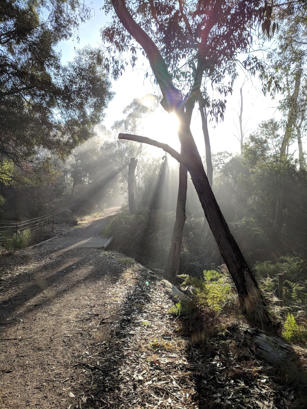 Wombolano Park | park | 33A Canterbury Rd, Ringwood East VIC 3135, Australia | 0392945677 OR +61 3 9294 5677