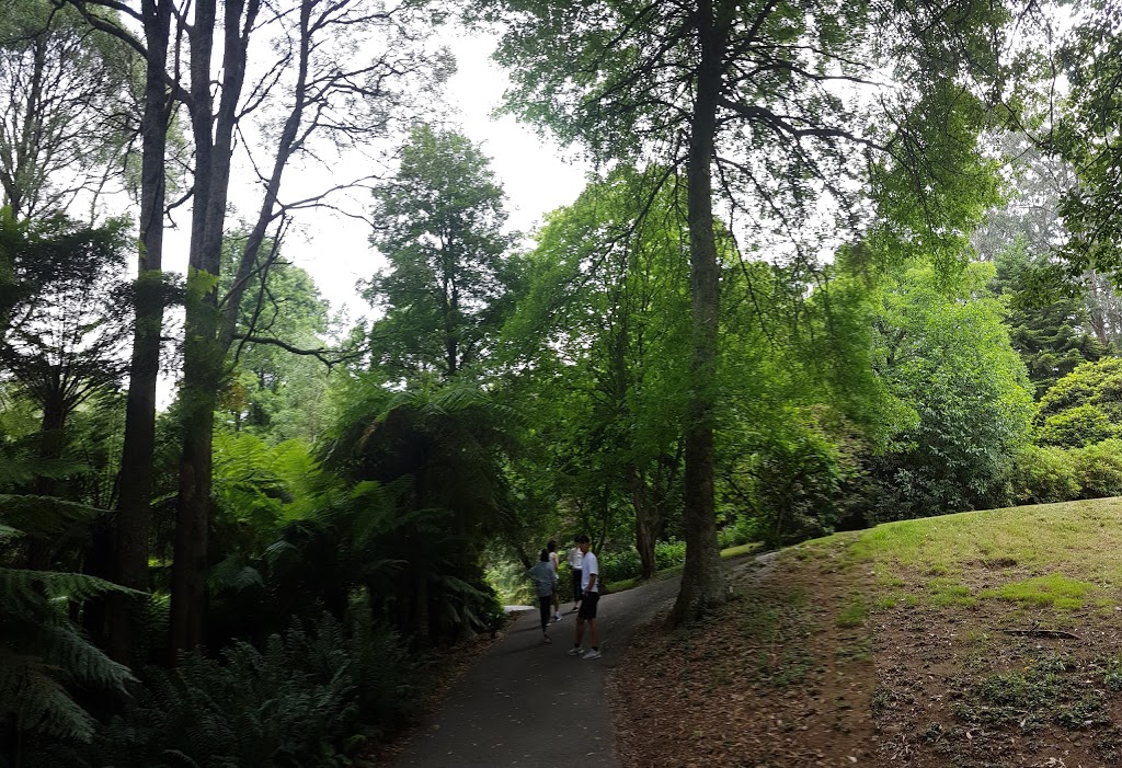 Mount Dandenong Arboretum | park | 65 Ridge Rd, Mount Dandenong VIC 3767, Australia | 131963 OR +61 131963