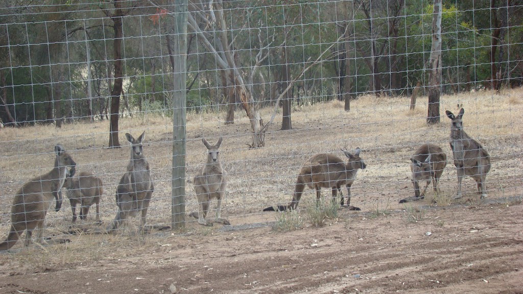 Watendlath Cottage | 11 Hillview Rd, Strathalbyn SA 5255, Australia | Phone: (08) 8536 8263