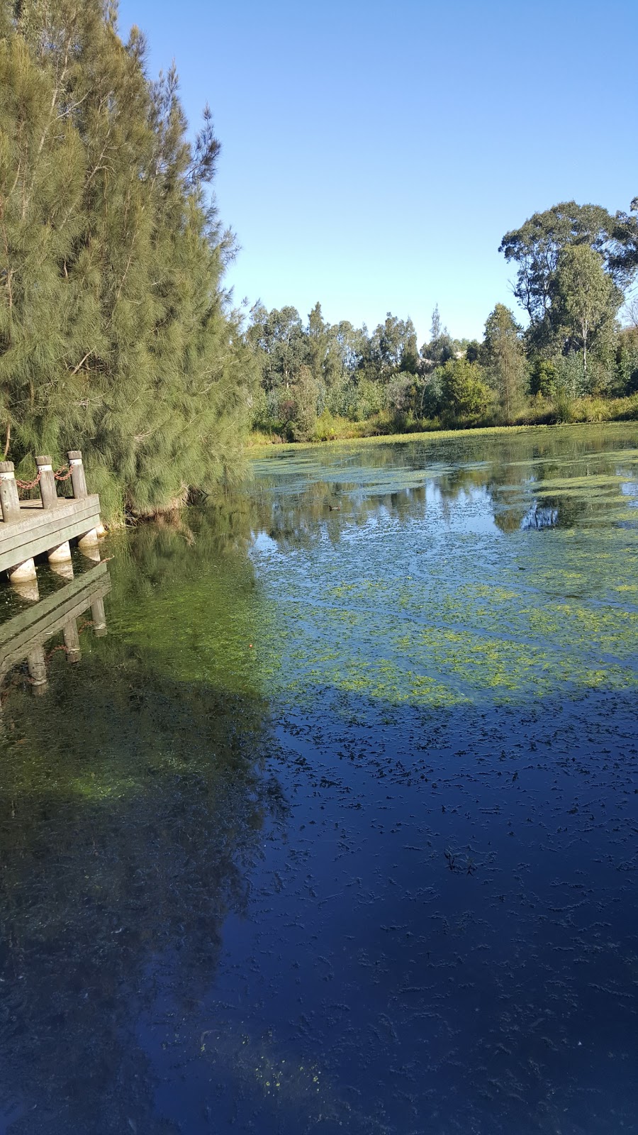 Strangers Creek | park | 9 Sanctuary Dr, Beaumont Hills NSW 2155, Australia | 0298430555 OR +61 2 9843 0555