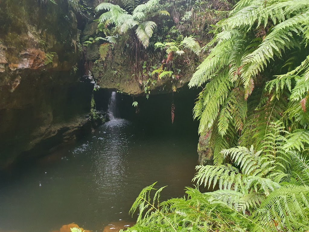 Grand Canyon Walking Track | Blue Mountains National Park, Evans Lookout Rd, Blackheath NSW 2785, Australia | Phone: (02) 4787 8877