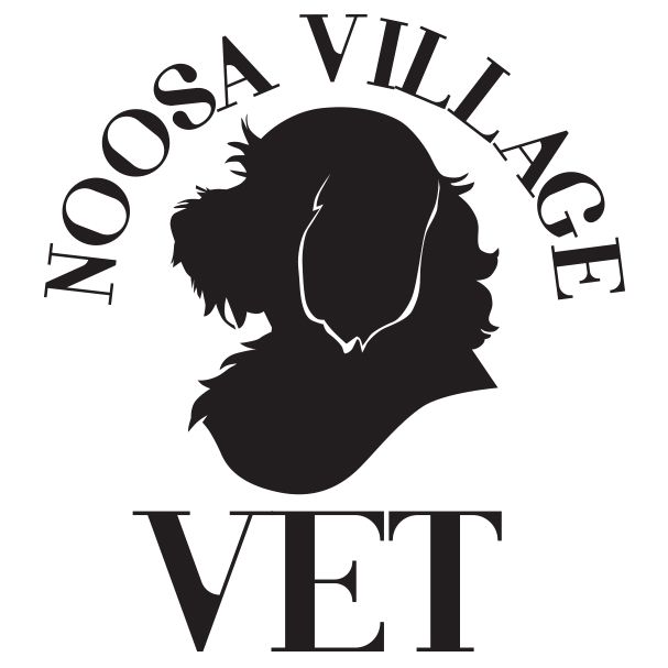 Noosa Village Vet | veterinary care | 69 Mary St, Noosaville QLD 4566, Australia | 0754556306 OR +61 7 5455 6306