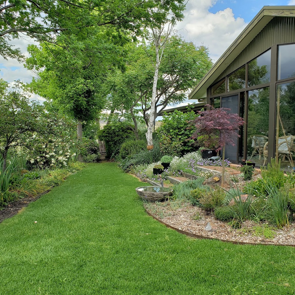 GLENHOPE ALPACAS | 59 Redgum Ln, Armidale NSW 2350, Australia | Phone: 0422 969 310