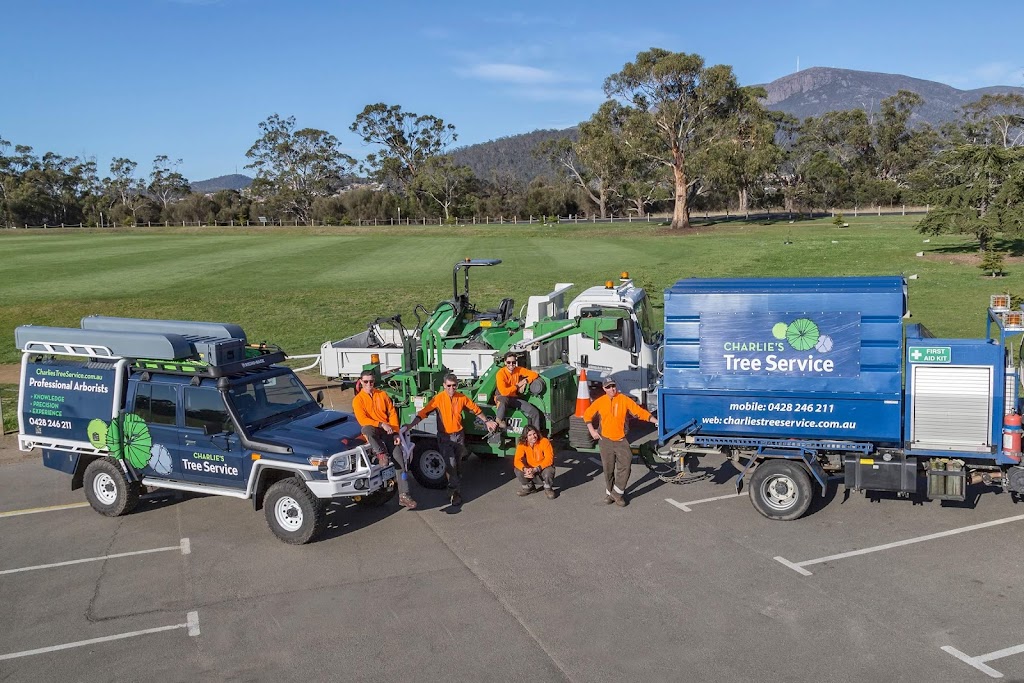 Charlie’s Tree Service | 731 Leslie Rd, Leslie Vale TAS 7054, Australia | Phone: 0428 246 211