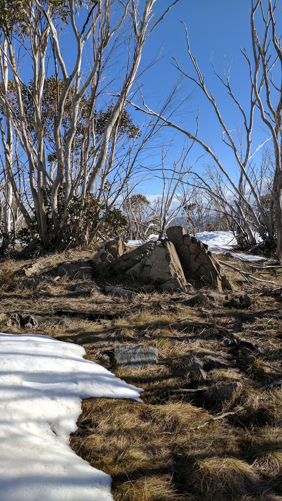 Wire Plain Car Park | parking | Great Alpine Rd, Hotham Heights VIC 3741, Australia