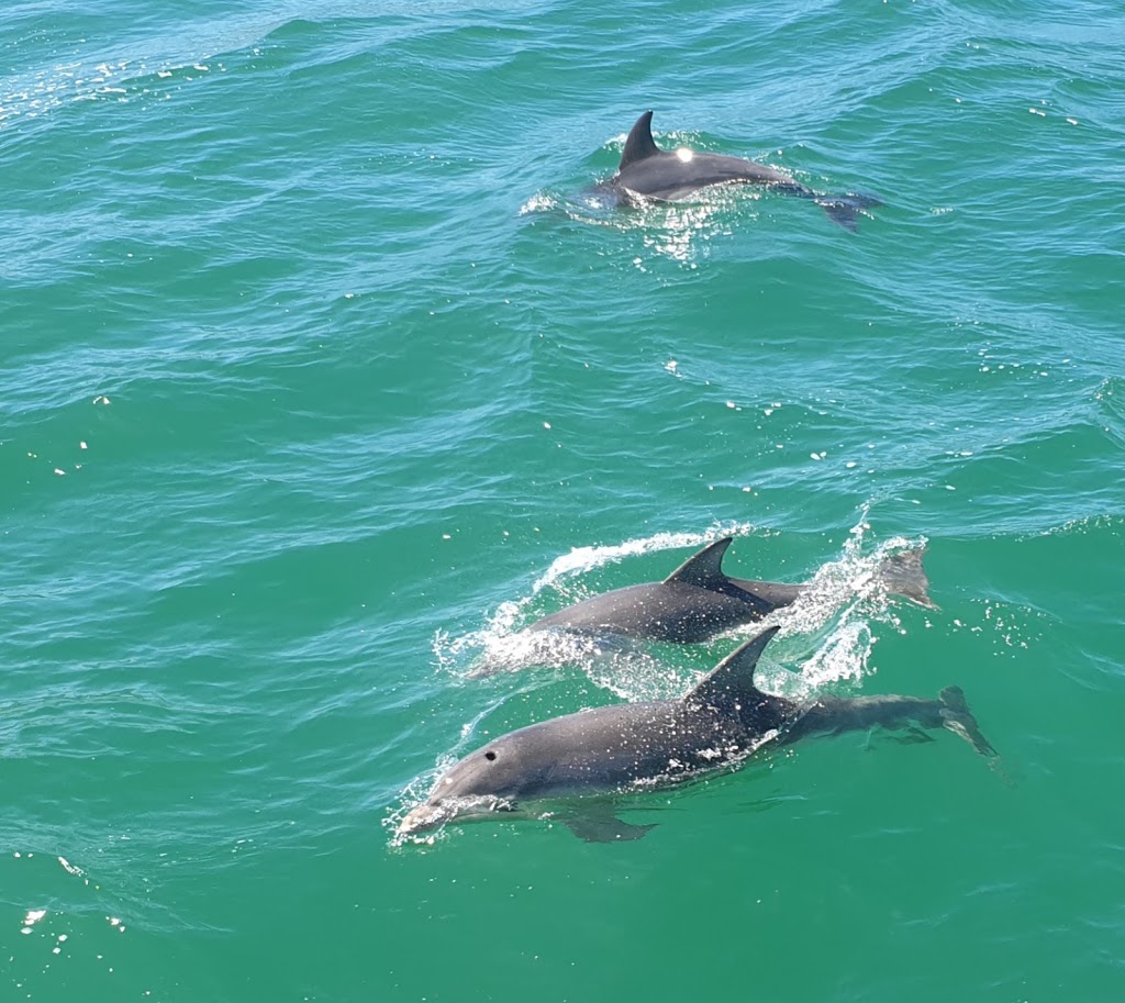 Gippsland Lakes Coastal Park | Victoria, Australia