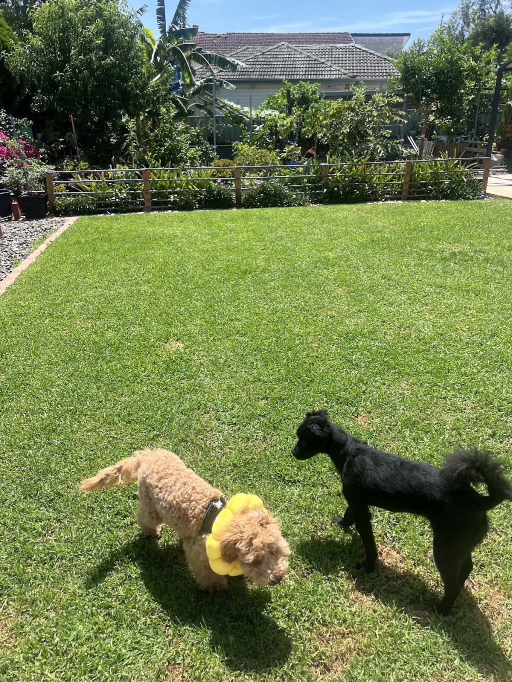 Hunter and Furends | N Liverpool Rd, Mount Pritchard NSW 2170, Australia | Phone: 0403 888 631