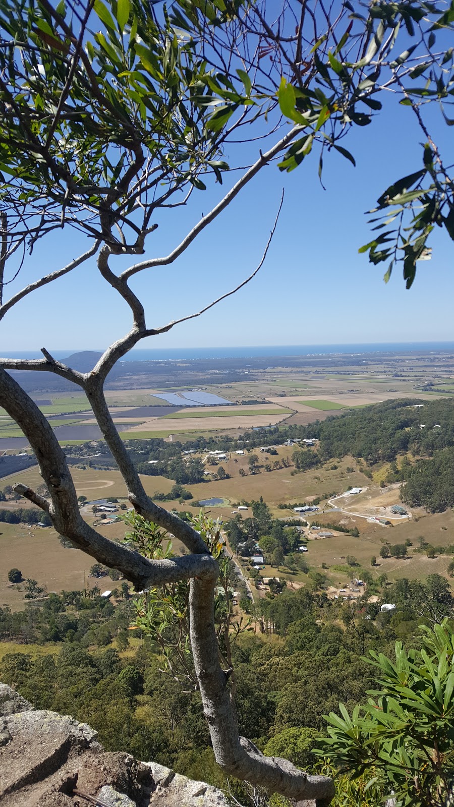Mt Ninderry Lookout | park | 3 Eucalyptus Cres, Ninderry QLD 4561, Australia